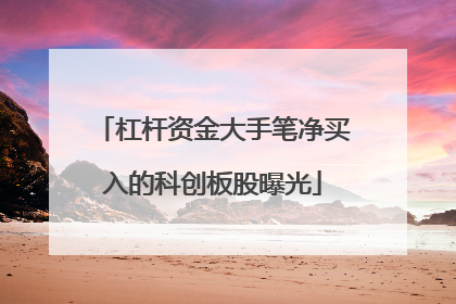 杠杆资金大手笔净买入的科创板股曝光